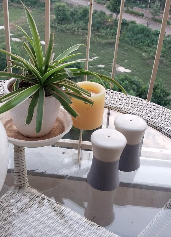 Salt & Pepper Shakers