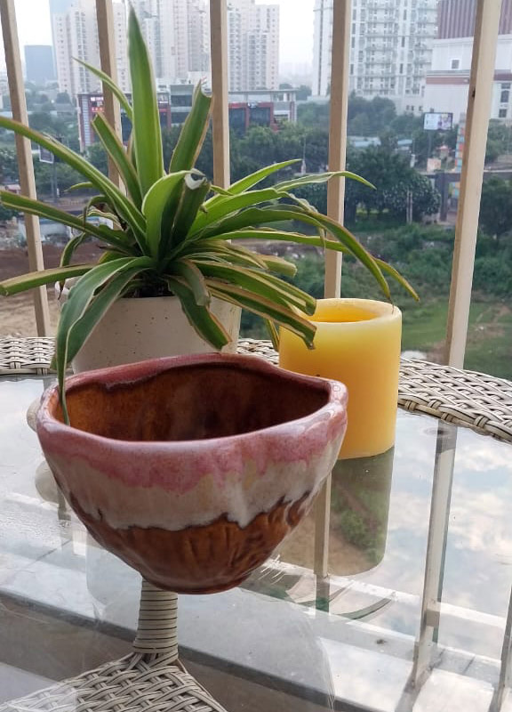 Multicoloured Snack Serving Bowl